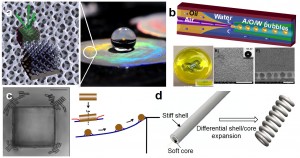Fig. 1. (a) A butterfly wing like photonic film fabricated by holographic lithography.22 (b) A highly buoyant superhydrophobic film assembled from microbubbles.23 (c) Capillary directed assembly or microrod particles on microposts.19 (d) Differential swelling induced buckling of a core-shell tube to form a helical coil.